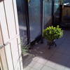 Piastrellare Terrazzo