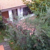 Isolare Con Poliuretano