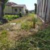 Manutenzione Giardino