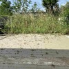 Ristrutturazione giardino