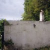 Realizzare Disinfestazione