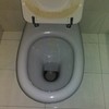 Copriwater cesame