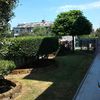 Ristrutturazione giardino