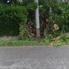 Manutenzione Giardino