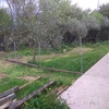 Pulire Terreno Agricolo
