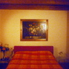 Insonorizzazione Parete Casa