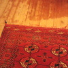 Levigatura e verniciatura parquet
