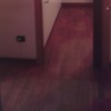 Levigatura e lucidatura parquet