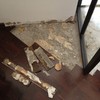 Riparazione parquet