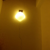 Crepa muro