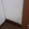 Piccola Ristrutturazione Bagno