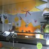Ristrutturazione punto vendita gelateria