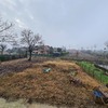 Realizzare Platea Di Cemento Armato
