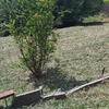Pulire Terreno Agricolo