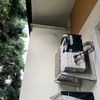 Allontanamento Piccioni