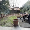 Potare O Tagliare Alberi