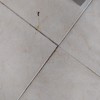 Disinfestazione appartamento