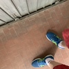 Installare Saracinesca