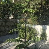Manutenzione Giardino