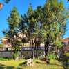 Manutenzione Giardino