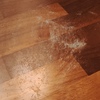 Levigare e Verniciare Parquet (Parziale)