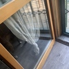 Installare Gattaiola