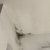 Ispezione Umidità