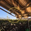 Riparare Tenda Da Sole