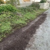 Pulire Terreno Agricolo