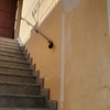 Realizzare Isolamento Termico