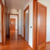 Levigare E Verniciare Parquet