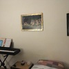 Insonorizzare Casa