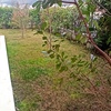 Posare Prato Sintetico