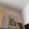 Dipingere Interno Casa