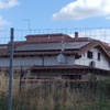 Allontanamento Piccioni