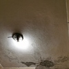Ispezione Umidità