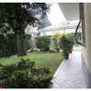 Potare O Tagliare Alberi