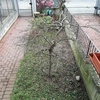 Piantare Giardino