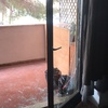 Installare Vetri