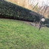 Piantare Giardino