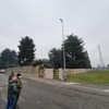 Potare O Tagliare Alberi