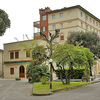 Potare O Tagliare Alberi