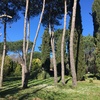 Piantare Giardino