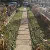 Manutenzione Giardino