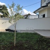 Piantare Giardino