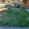Progettare Giardino