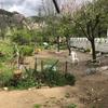 Pulire Terreno Agricolo