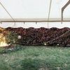 Riparare Tenda Da Sole