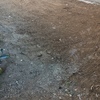 Piantare Giardino
