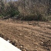 Piantare Giardino